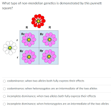 What does slippery refer to in genetics? What Type Of Non Mendelian Genetics Is Demonstrated Chegg Com