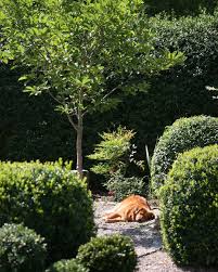 Heute Wird Bei Der Mygardenlifechallenge Von My Garden Life Grun Gesucht Ich Ein Schweizer Garten Garten Gartengestaltung