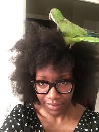 Messy birb 🙄 ((FLAP)) dont mind all the dishes in need of washing, she  interrupted me 😂