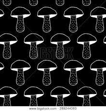 A closeup shot of cute cartoon dragon, mushroom and flower figurines on a. Cute Cartoon Mushroom Vector Photo Free Trial Bigstock