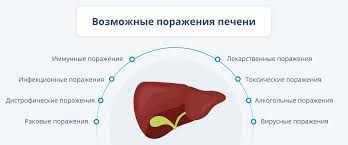 Факты о клинических проявлениях гепатита B
