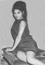 In 1967, at the age of 16, she was 3rd in the ses mecmuası cover star contest, one of the famous magazines of the era. Who Is Hulya Darcan Dating Hulya Darcan Boyfriend Husband