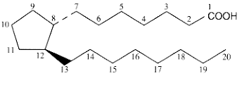 Maybe you would like to learn more about one of these? Https Edoc Hu Berlin De Bitstream Handle 18452 15271 Koebel Pdf Sequence 1