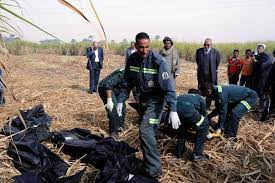 The deadliest took place in 2013, when a balloon flying over the city caught fire and plunged about 1,000 feet to the ground, crashing into a sugar cane field and killing at least 19 foreign tourists. Balloon Explosion In Egypt Kills At Least 19 Tourists The New York Times
