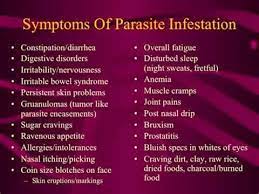 Suzy Homefaker Papaya Parasite Cleanse Parasite Cleanse Parasites Symptoms Intestinal Parasites