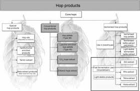 The Processing Of Hops Sciencedirect