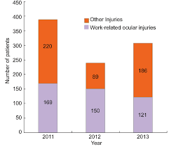 The hospital was equipped with a computerised system and all administrative work and transactions would go through. æ'‡ Hospital Attendance Of Ocular Injuries In Hospital Sultan Ismail Download Scientific Diagram
