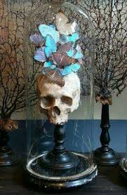 Skull And Blue Butterflies In A Cloche Stylish Halloween Decoration Skull Home Skull Decor Gothic Decor Gothic Home Decor
