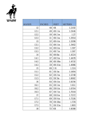 horse height conversion horse tips horse treats horses