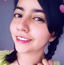 Los monemas y su clasificación