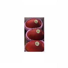 Mango in bangladesh from the wide range on alibaba.com. Japanese Best Price Fresh Mango Fruit From Miyazaki And Okinawa Buy Mango Fruit Fresh Mango Fresh Mango Price Product On Alibaba Com