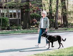 We encourage our members to rate and review cat sitters honestly. Home Sit Stay Nj