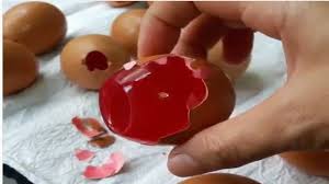 Olahan telur agar tidak bosan yang pertama ini merupakan masakan khas dari minangkabau. Moms Cangkang Telur Jangan Buang Pakai Untuk Membuat Agar Agar Lucu Ini Okezone Lifestyle