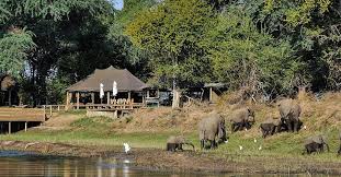 Ruckomechi Camp Mana Pools Zimbabwe Safari Wilderness Zambezi River