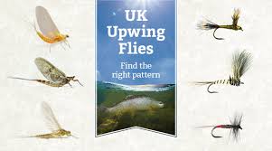 View Our Upwing And Mayfly Species Fly Fishing Chart
