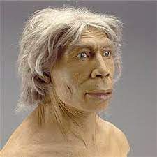 Read chris stringer's argument for why neanderthals should be considered a separate species from homo sapiens >. Pin On El Linaje Humano