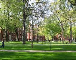 Posted in early admission, class of 2025 harvard announced today that it admitted 747 applicants to the class of 2025 under restrictive early action. Harvard University Class Of 2025 Early Action Statistics Ivy Coach