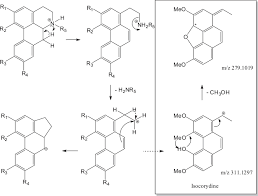 We did not find results for: Scielo Brasil Dereplication Of Aporphine Alkaloids By Uhplc Hr Esi Ms Ms And Nmr From I Duguetia Lanceolata I St Hil Annonaceae And Antiparasitic Activity Evaluation Dereplication Of Aporphine Alkaloids By Uhplc Hr Esi Ms Ms And Nmr From I
