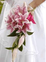 Además, arreglos florales bogota cerca de la funeraria gaviria y cristo rey son un componente importante y los arreglos altamente estilizados fueron utilizados durante los entierros, para las procesiones, y simplemente como adornos de mesa también. Decoracion Bodas Eventos
