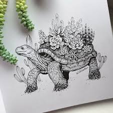 10 Inconceivable Drawing Animals In The Zoo Ideas Turtle Drawing Tortoise Drawing Animal Drawings