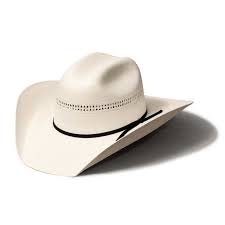 Bullhide Hats By Montecarlo 10x White Gold Straw Cattleman Cowboy Hat Cowboy Hats Felt Cowboy Hats Cowboy