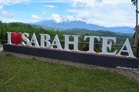 This is 2017 sabah trip by herry huang on vimeo, the home for high quality videos and the people who love them. Pengalaman Percutian Di Sabah 8 Lawatan Ke Sabah Tea Dan Hari Terakhir Di Kundasang Blog Sabree Hussin