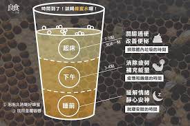 時間到了 該喝蜂蜜水囉 honey water health day