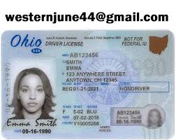 Check spelling or type a new query. Ohio Fake Driver License Ohio Fake Id In 2021 Drivers License Blank Id Cards Licensing
