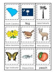 Of those, a whopping 14 are dedicated to animals and insects. South Carolina State Symbols Worksheets Teaching Resources Tpt