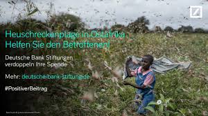 Die deutsche bank stiftung zielt mit ihren aktivitäten auf die entwicklung und nachhaltige stärkung von potentialen insbesondere junger menschen. Facebook