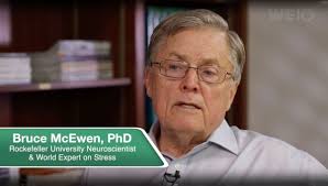 The CreatingWE® Institute