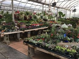 We offer everything you need to. Mcnaughton S Garden Center 351 Kresson Rd Cherry Hill Nj 08034 Usa