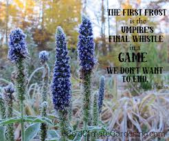 In Appreciation of Frost