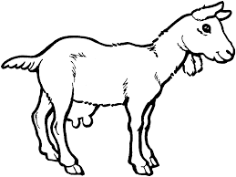 Purebred, registered, dehorned, mircochipped, lifetime support. Free Printable Goat Coloring Pages For Kids