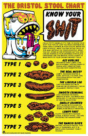 Bristol Stool Chart Poster