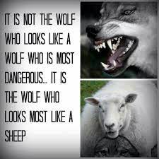 Are you worried, says the wolf in sheep's clothing. Pin On Reformed Quotes