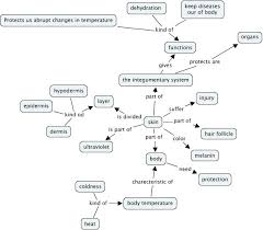 Integumentary System Facts Warning Medical