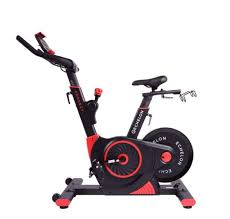 Van rysel edr af 105: Best Indoor Cycles Spin Bikes Exercisebike
