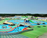 辻堂海浜公園ジャンボプールの画像