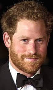 We Re Thankful For Adele Hotline Bling And Prince Harry S Beard This Thanksgiving Prince Harry Prince William And Harry Prince Harry And Megan