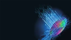 This company's trade report mainly contains market analysis, contact, trade partners, ports statistics, and trade area analysis. Silterra Home