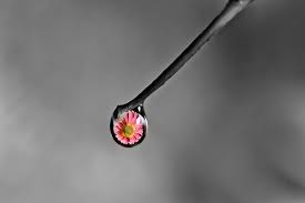 27.10.2021 · poem hunter all poems of by pablo neruda poems. 40 Awesome Examples Of Water Drop Photography Photography Graphic Design Junction