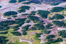 Wood buffalo national park is the largest national park of canada at 44,807 km2. Wood Buffalo National Park Unesco World Heritage Site