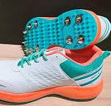 Amazon.com: ESS Gen-X Metal Spikes Cricket Zapatos ...