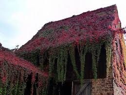 Enchanted Farm Barn Old Barns Rustic Barn