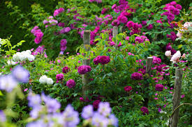 Alex realised that many of his neighbours liked his garden but didn't have time or knowledge to start their own. 13 Ways To Create An Eco Friendly Garden Real Homes