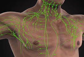 Once squamous cell carcinoma has spread beyond the skin, though, less than half of people live five years, even with aggressive treatment. Squamous Cell Skin Carcinoma Definition Symptoms Treatment