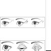 .karapandzic flaps, nakajima flaps, fujimori gate flaps, submental island flaps, bilateral depressor anguli oris myocutaneous flaps, pectoralis major myocutaneous flaps. 1