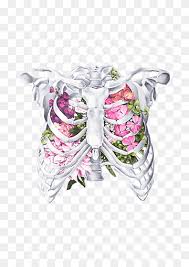 Nov 21, 2017 · contents. Drawing Human Skeleton Flower Art Skeleton Pencil Heart Fictional Character Png Pngwing
