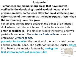 The Skull And Temporomandibular Joint I Ppt Download
